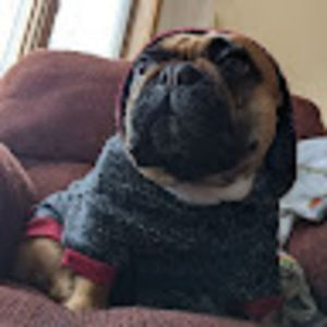 Meet your Posher, Aven